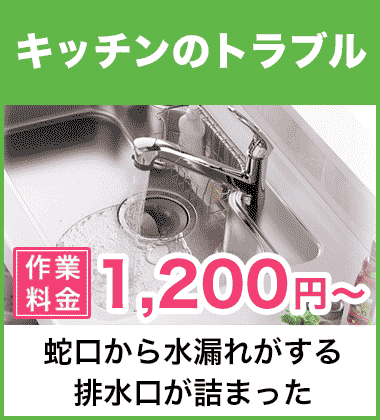 キッチン（台所）の蛇口の水漏れ修理 大阪
